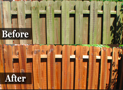 before and after staining